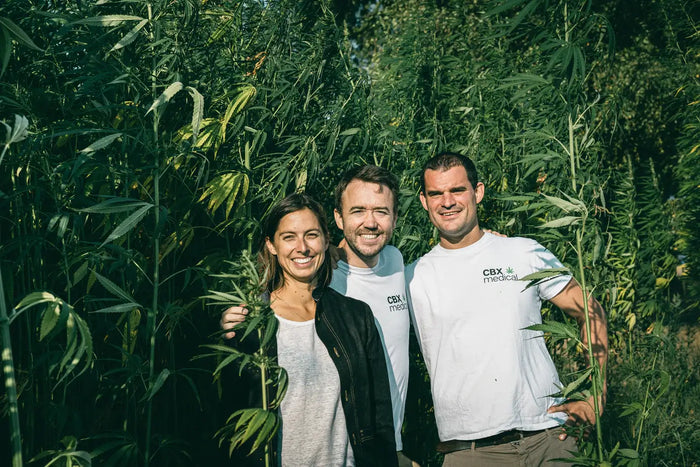 L’équipe fondatrice de CBX Medical dans une culture de chanvre, engagée pour des solutions naturelles visant à améliorer la qualité de vie des personnes souffrant de pathologies chroniques