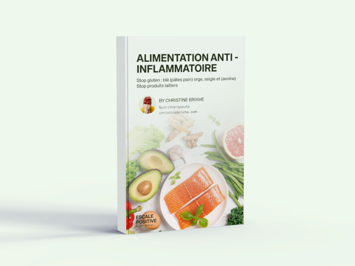Ebook Alimentation - Qu'est ce qu'une alimentation anti-inflammatoire ?