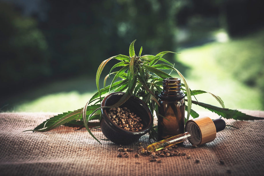 Le cannabidiol, un cannabinoïde à la mode
