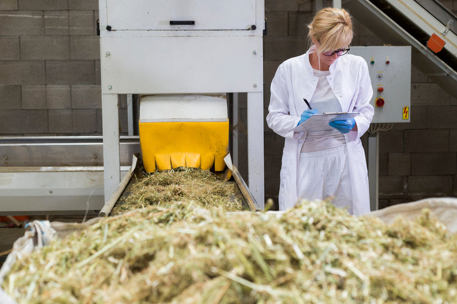 Méthodes d'extraction du cannabidiol