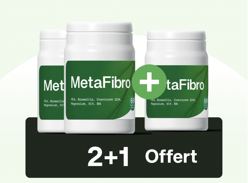 MetaFibro 2 + 1 Offert